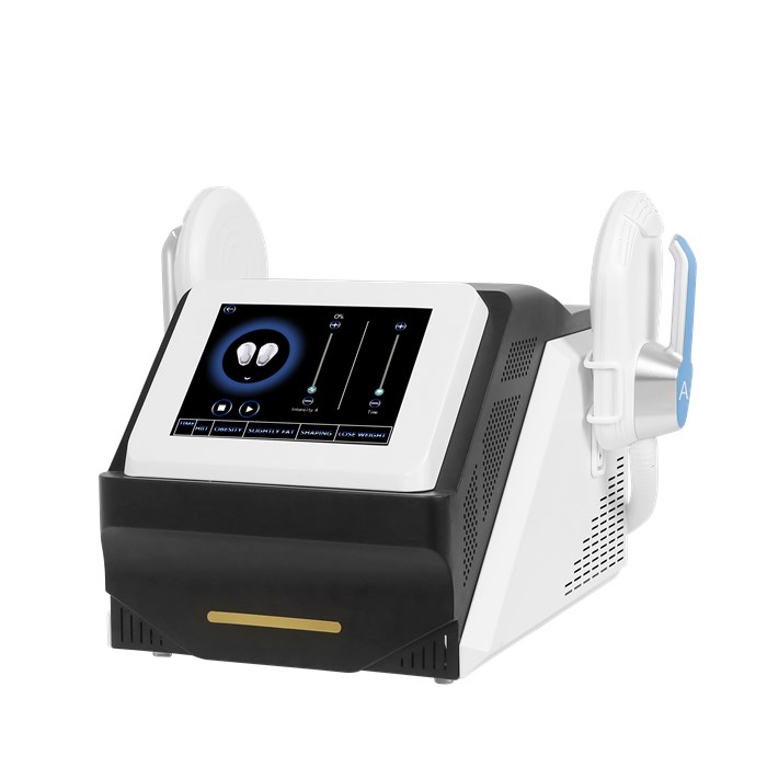  Portable HIEMT EMSculpt Machine